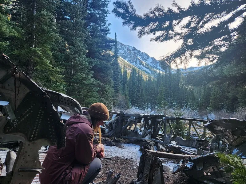 Crashed airplane in olympic Nat Park